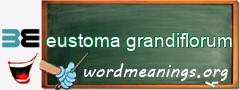 WordMeaning blackboard for eustoma grandiflorum
